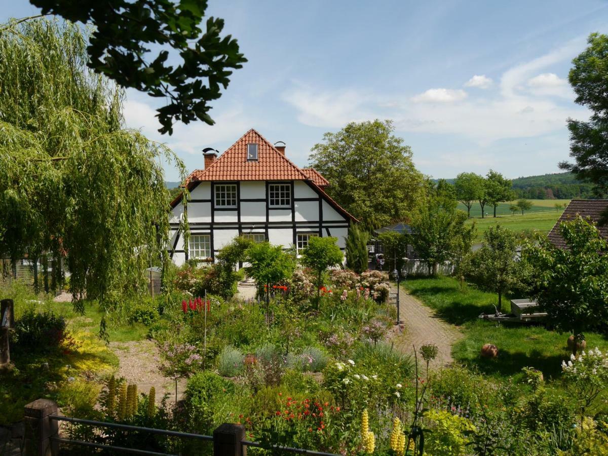 Ferienwohnung Weserblick Polle Exteriör bild