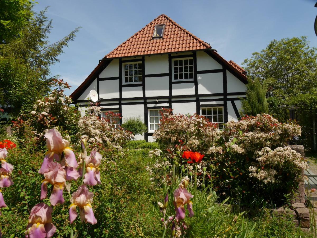 Ferienwohnung Weserblick Polle Exteriör bild
